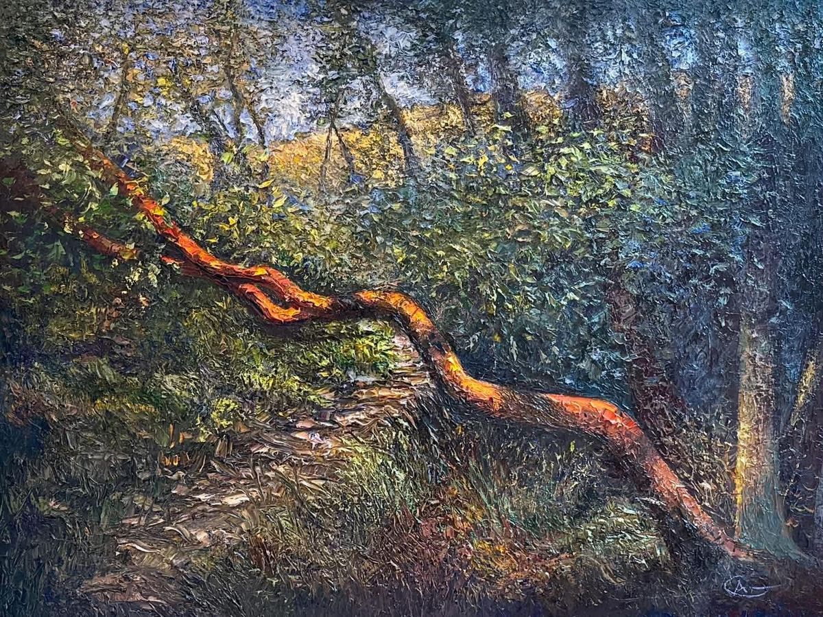 Inner Light: Christmas Hill Arbutus