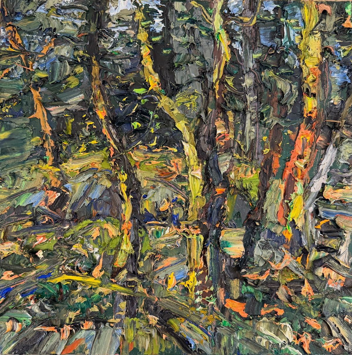 Arbutus Rhythms