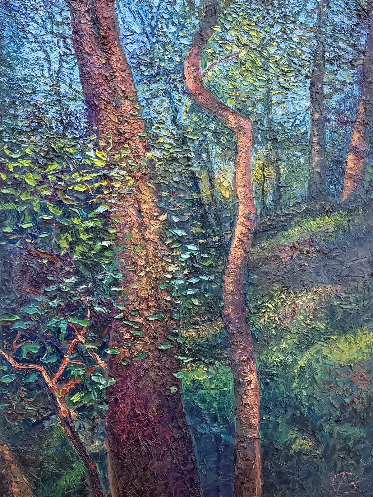 Woodland Melody