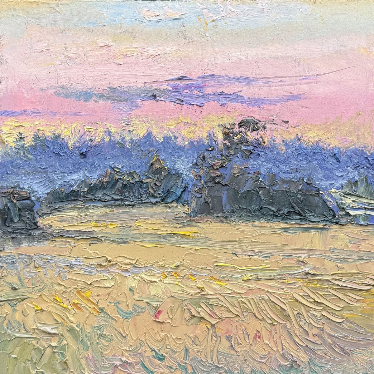 Morning Glow: Mount Newton Valley