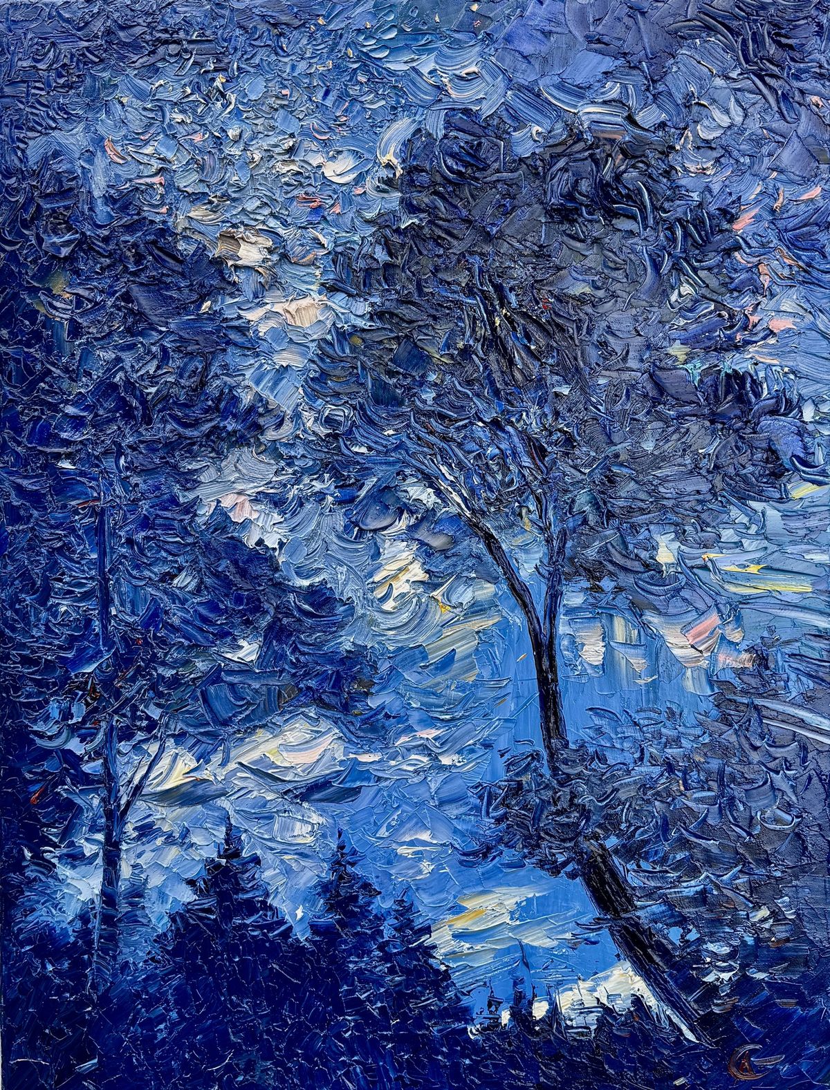 Dancing Under Stars: Arbutus